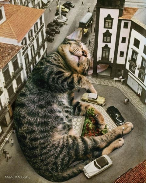 Фотохудожник продолжает показывать, каким был бы мир, если бы его захватили гигантские кошки (25 фото)