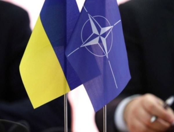 Процесс приобретения Украиной и Грузией членства в НАТО неприлично растянулся, считают в Киеве